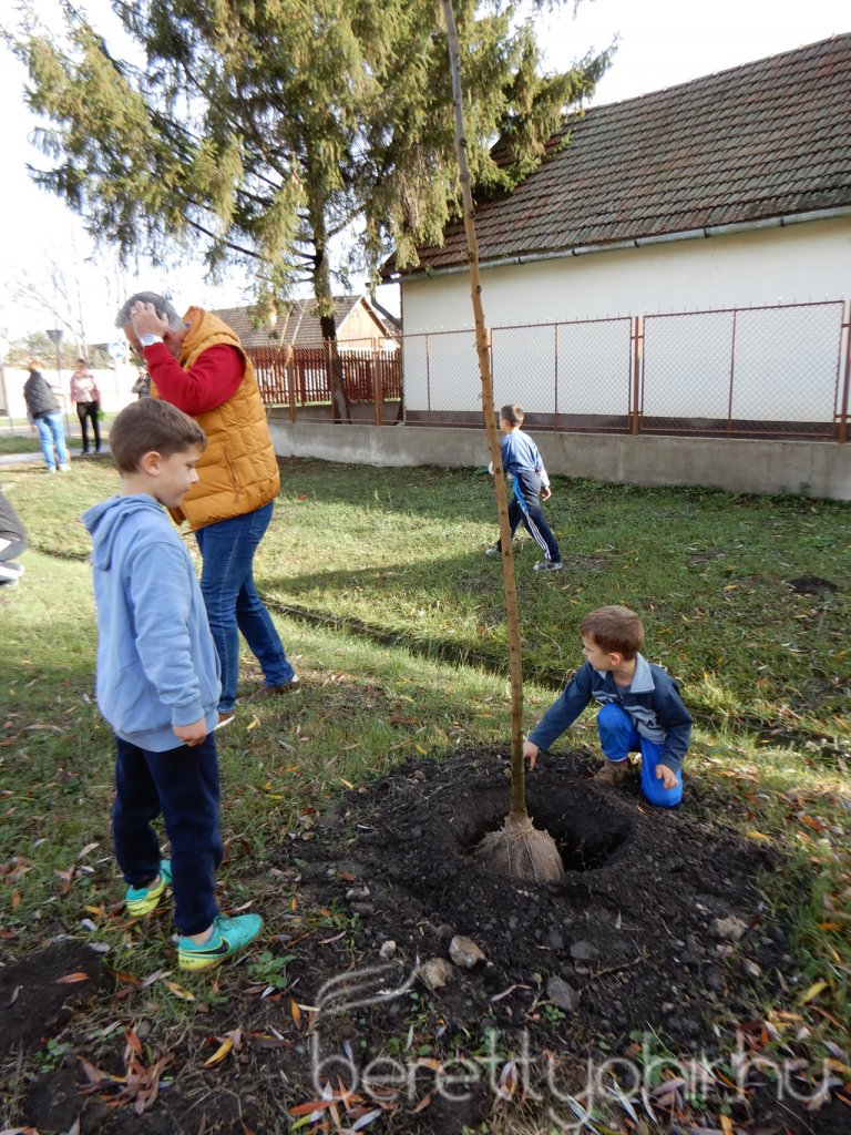 Közösségi faültetés Berettyóújfaluban 04